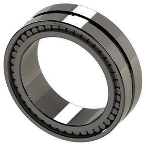SL02 4930 A MTK Full Complement Cylindrical Roller Bearing
