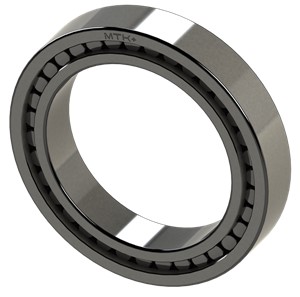SL18 2932 B MTK Full Complement Cylindrical Roller Bearing