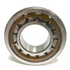 NU1012 ML SKF Cylindrical Roller Bearing