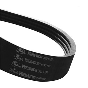 SPC7500/2 Gates PREDATOR POWERBANDS Belt