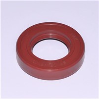 20X30X7 R23 Viton Metric Oil Seal